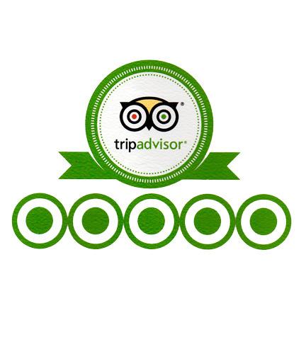 Trip Advisor Is A Great Guide For Diverse Perspectives And Opinions