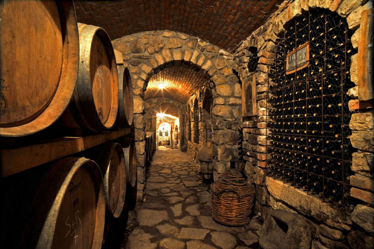 Vineyard Tour-Wine Tasting-Cellar Tour with lunch in the city of Avellino(Region Irpinia)