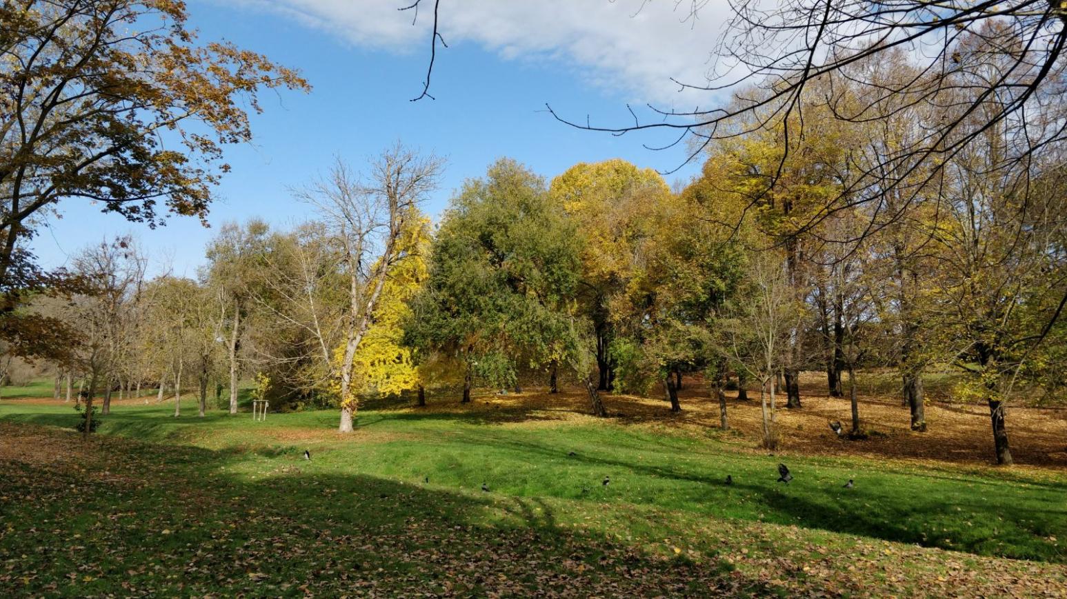 Tivoli and Roman Countryside