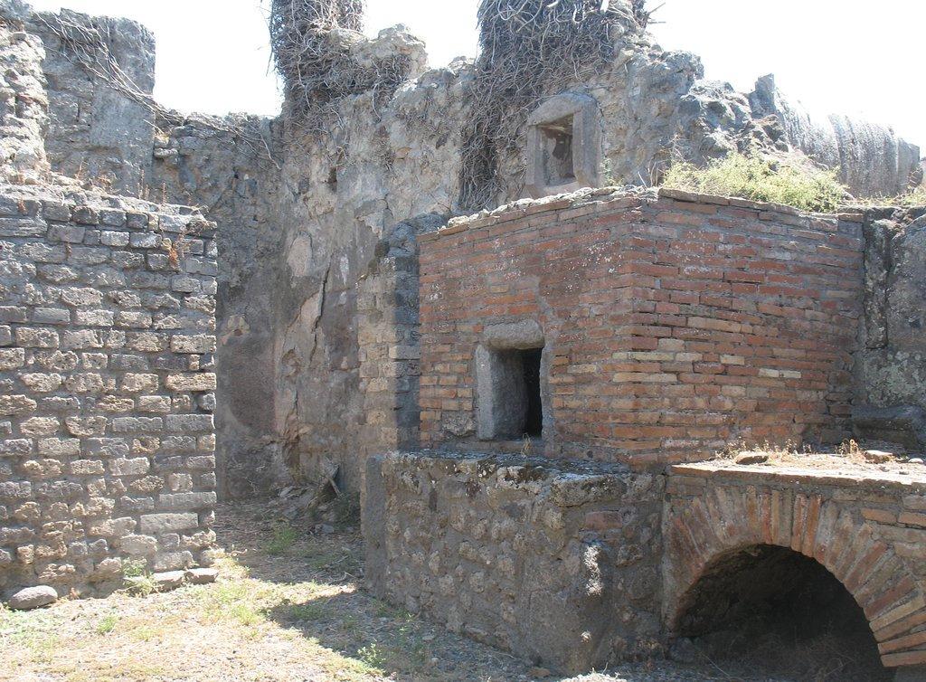 Pompeii Excursion and Wine Tour