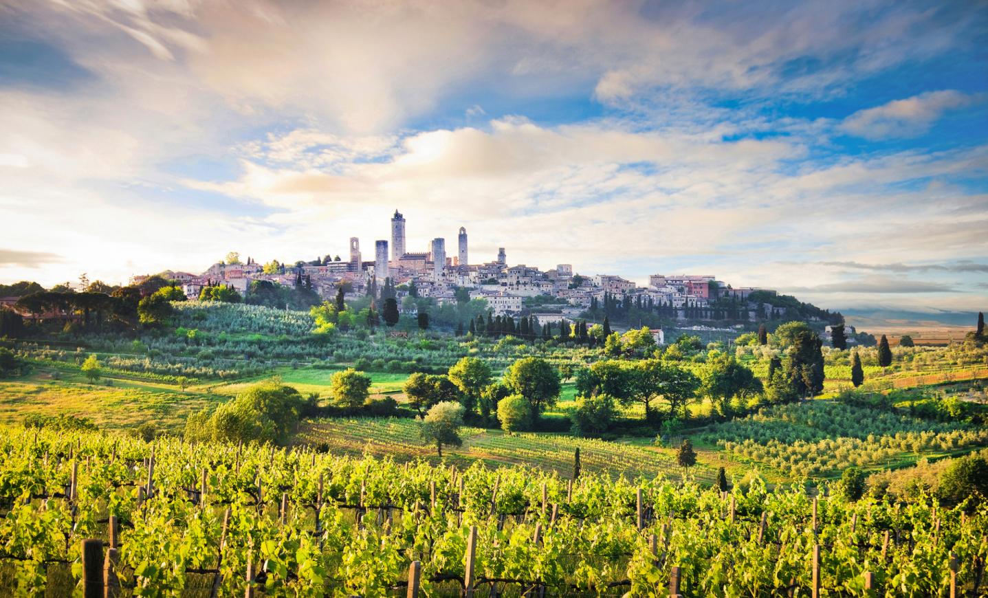 Pisa & San Gimignano from Livorno port